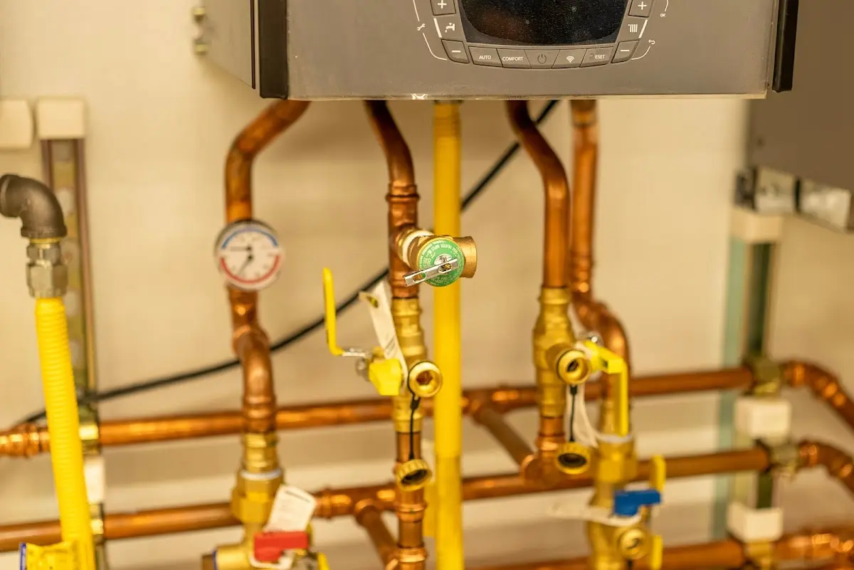 Licensed technician providing Sewer Cleanout for a homeowner in Williams